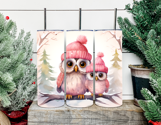 Aurora & Asher the Winter Hat Owls