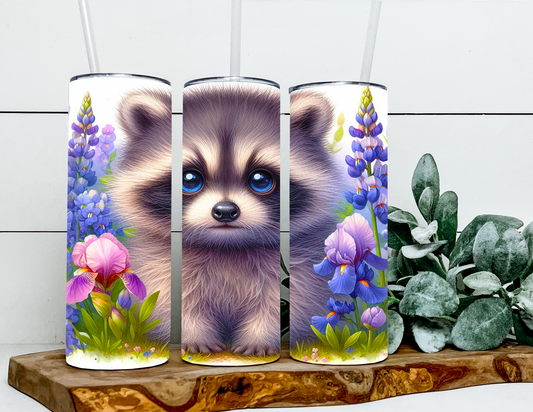 Mia The Raccoon