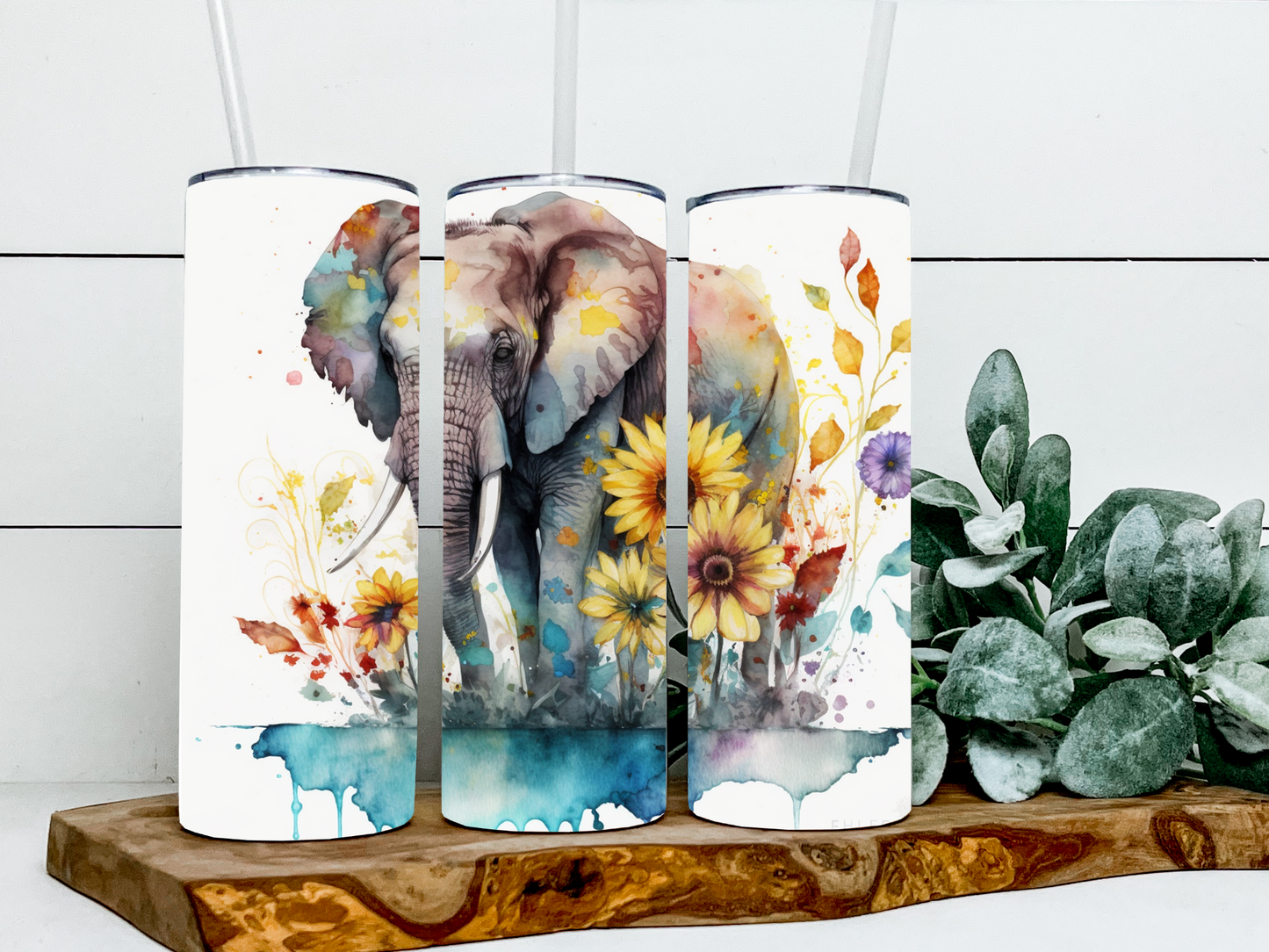 Natasha the Elephant