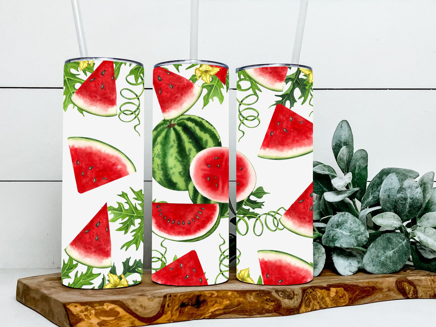 Watermelon Suprise