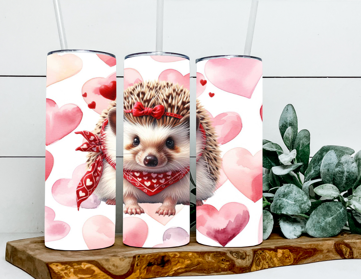 Pauley The Valentines Porcupine