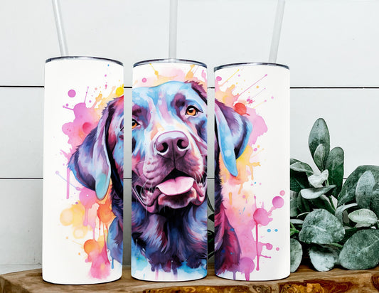 Dog Multi Breed Splatter